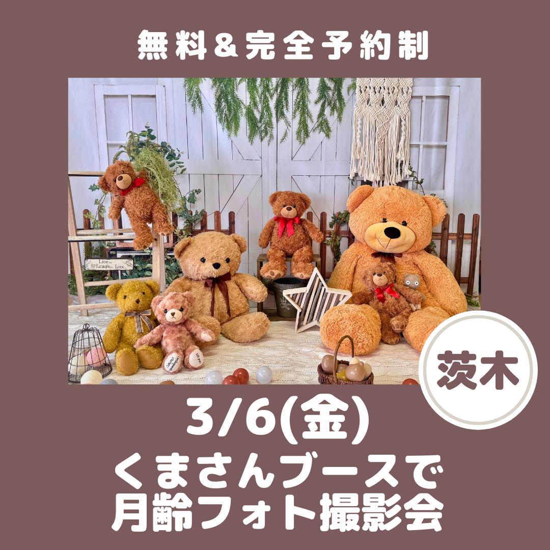 くま撮影会　正方形のコピー (10).png