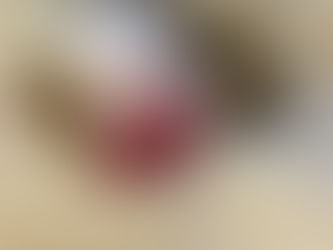 久しぶりにブルドッグ誕生