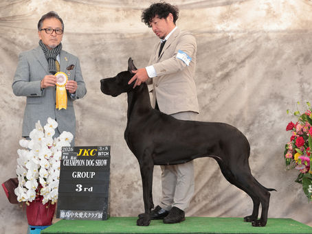 徳島ドッグショー2日目