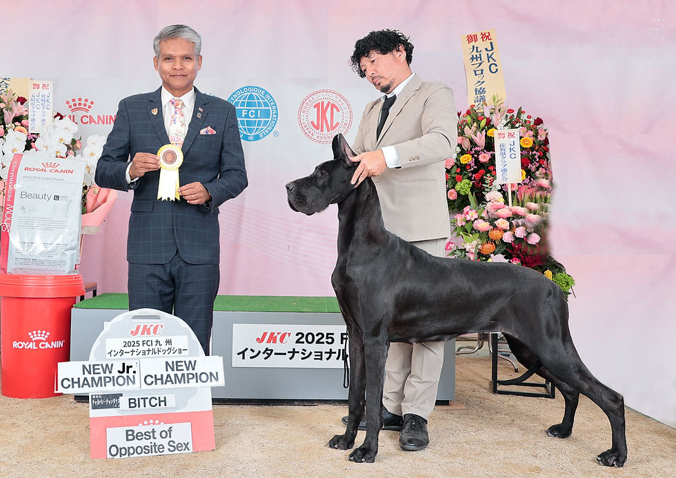 今月は毎週ドッグショー