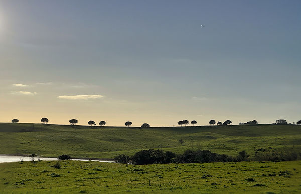 site 2026 4b_edited.jpg