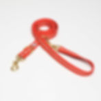 längenverstellbare Hundeleine orange, top dog cool cat, orange textile leash