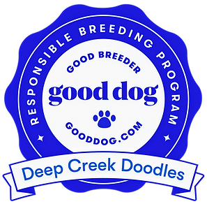 deep-creek-doodles-badge_edited.png