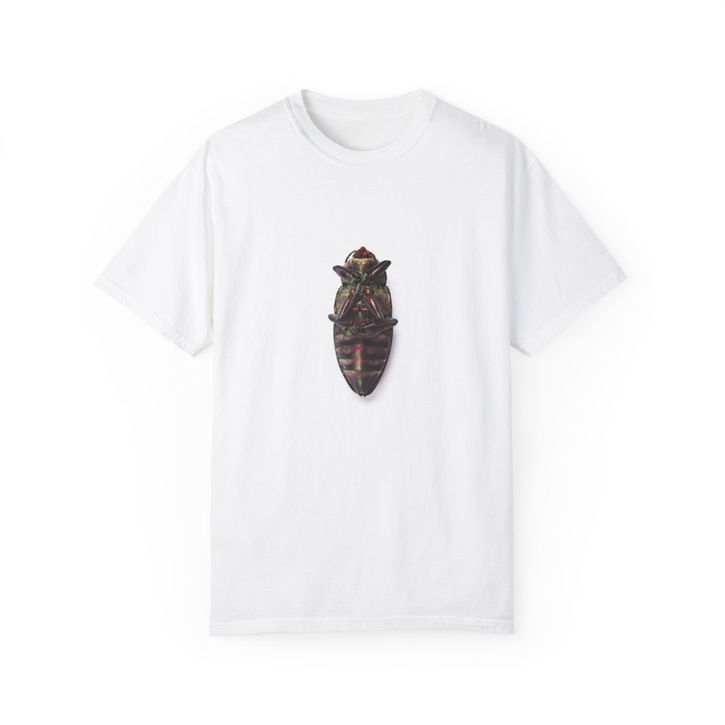 a dead beetle with legs folded on the front of a white T-shirt