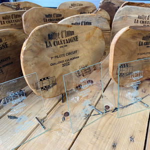 Trophées personnalisés en bois ou plexi. 