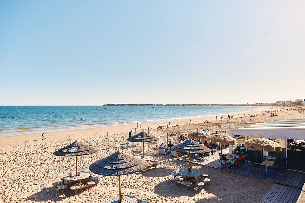 Agence SEO à La Baule : comment booster votre visibilité sur la Côte d’Amour ?