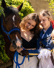 photographie équin cheval portrait cavalier