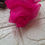Thumbnail: Organza Rani Pink Rose Clutcher