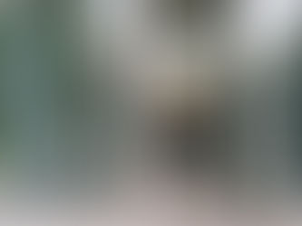 Person using a wheelchair entering a modern, accessible elevator in a public building.