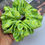 Thumbnail: Lemon Print Scrunchy