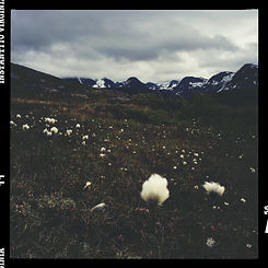 VOYAGE NORVEGE KAYAK TRECK-40.jpg