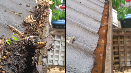 The Importance of Gutter Cleaning in Home and Property Maintenance