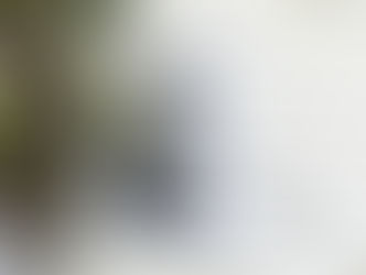 Spring Cleaning Your Home’s Exterior: A Checklist