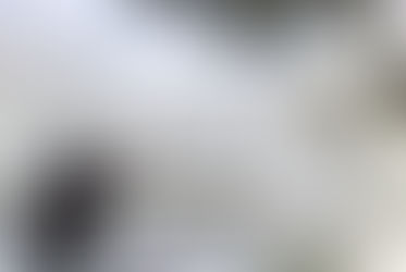 Soft Washing vs. Pressure Washing: Which for What?