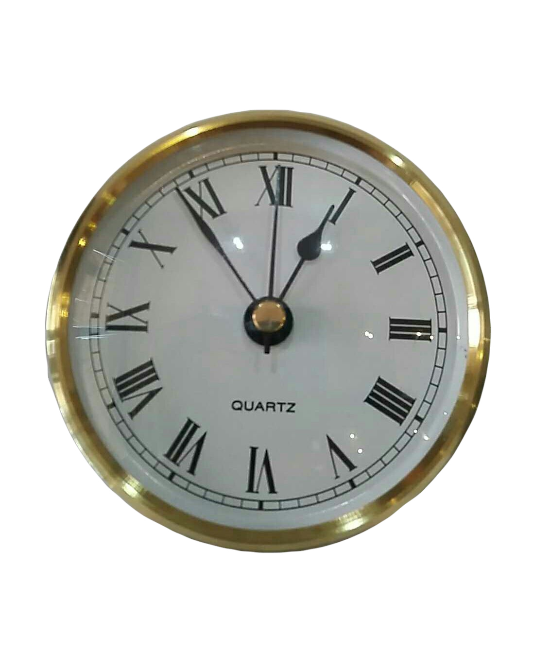 69mm Gold Finish Watch Insert