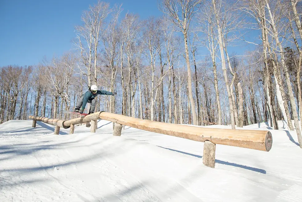 Thumbnail: Triple 8 O'School Snow Helmet - White Gloss
