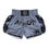 Thumbnail: ARWUT Ascent Muay Thai Shorts - Iron Grey
