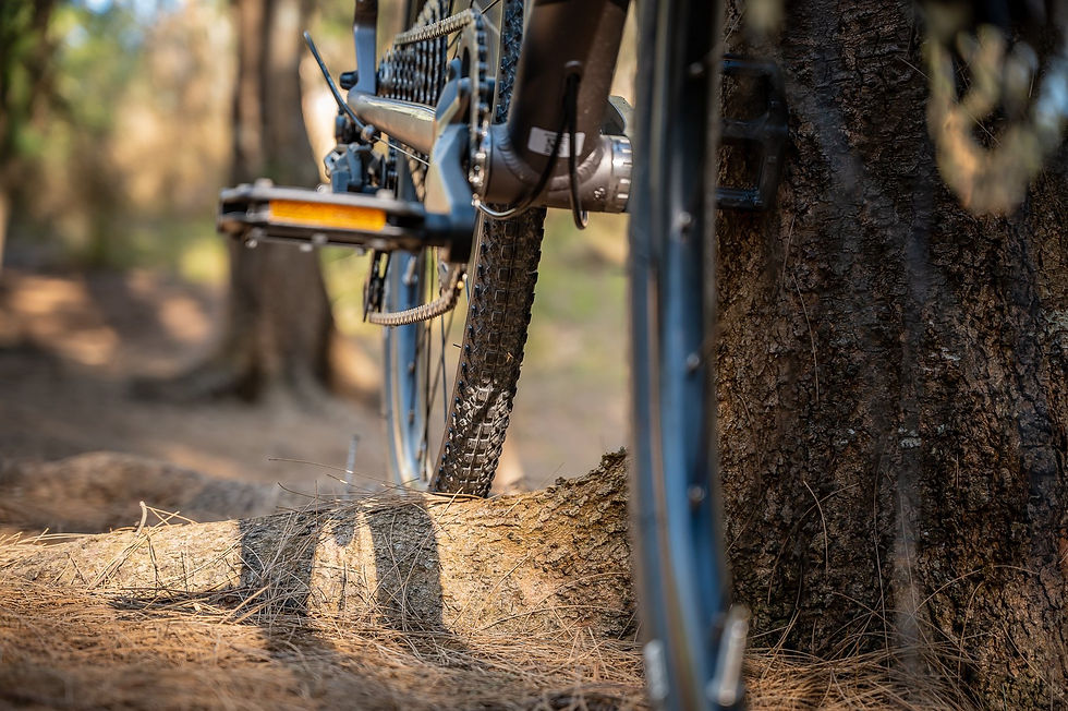 Thumbnail: Apollo Scout 21X Gravel Bike - Matte Charcoal/Black/Blue