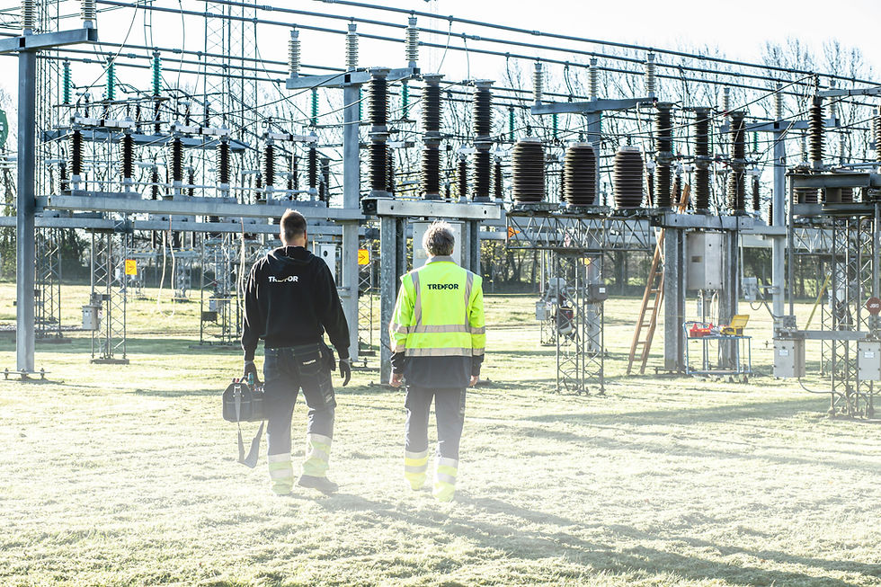 Instalaciones Eléctricas de Alta y Media Tensión.