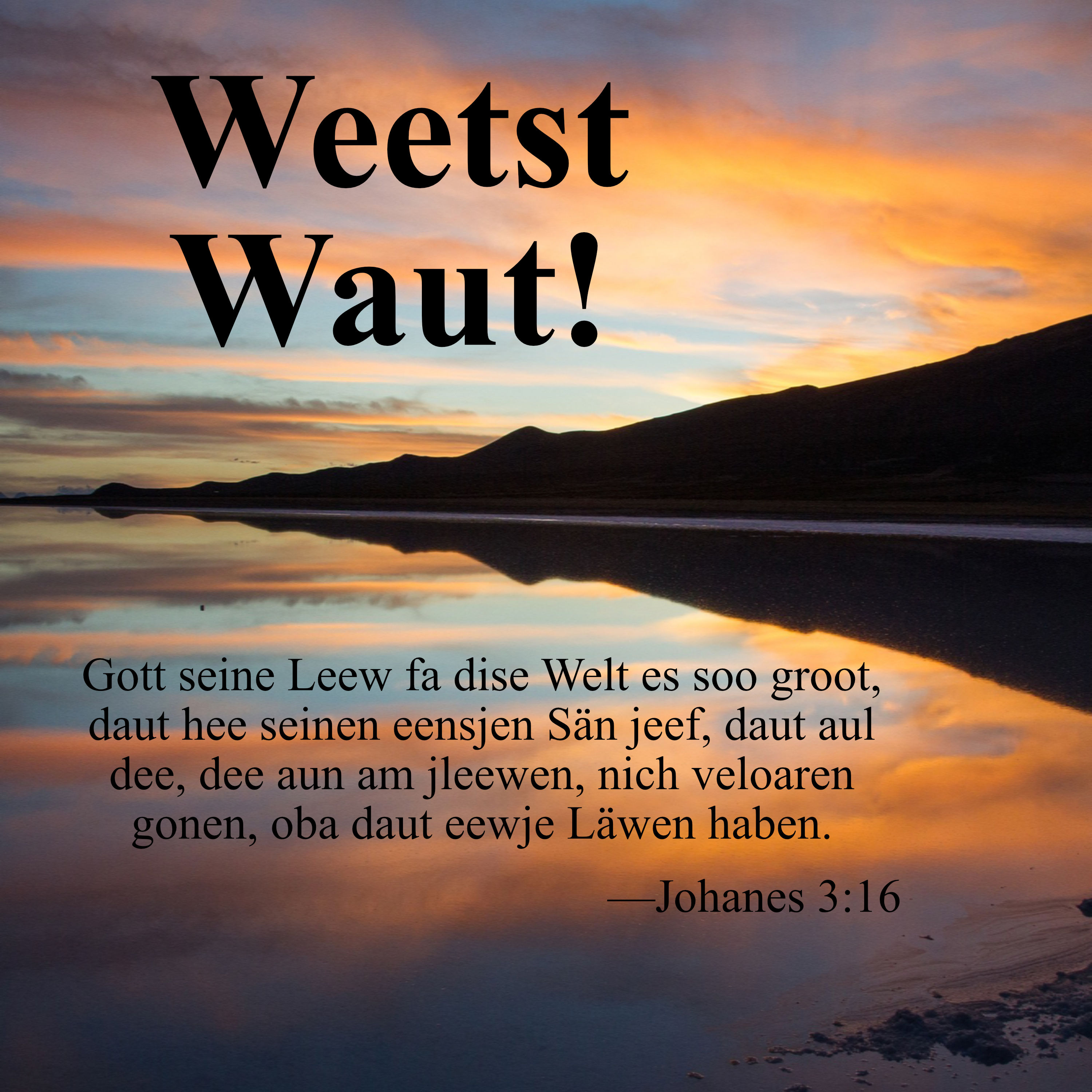 Weetst Waut! Low German Gospel Tract (Pack of 200)