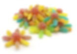 Sour Octopus