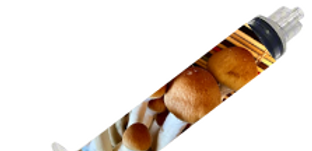 syringe.PNG
