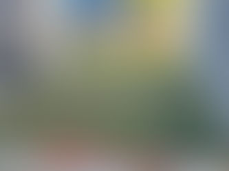 雲岫-113.12月工程進度