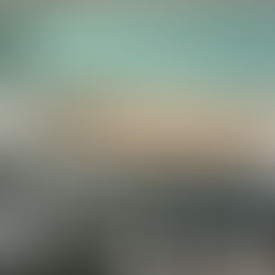 雲岫-113.11月工程進度