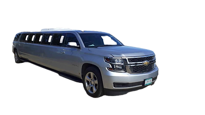 LIMO PS1_edited.png