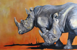 These two beautiful white rhino were wandering along in the heat of the day seemingly without a care in the world. So tragic that are being hunted to extinction