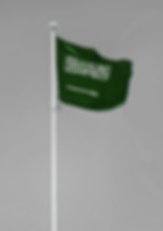Saudi-Flag.jpg