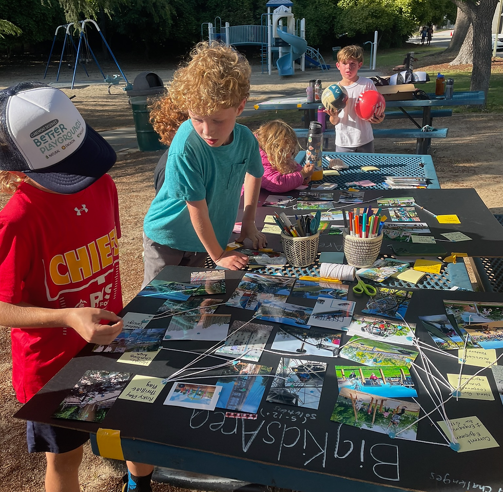 Lewis Park Boards.png