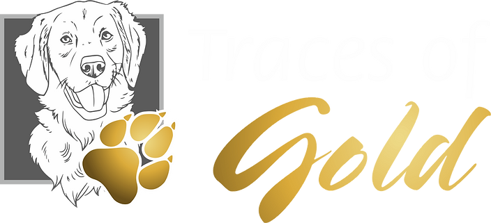 Traces of Gold Logo horizontal 002.png