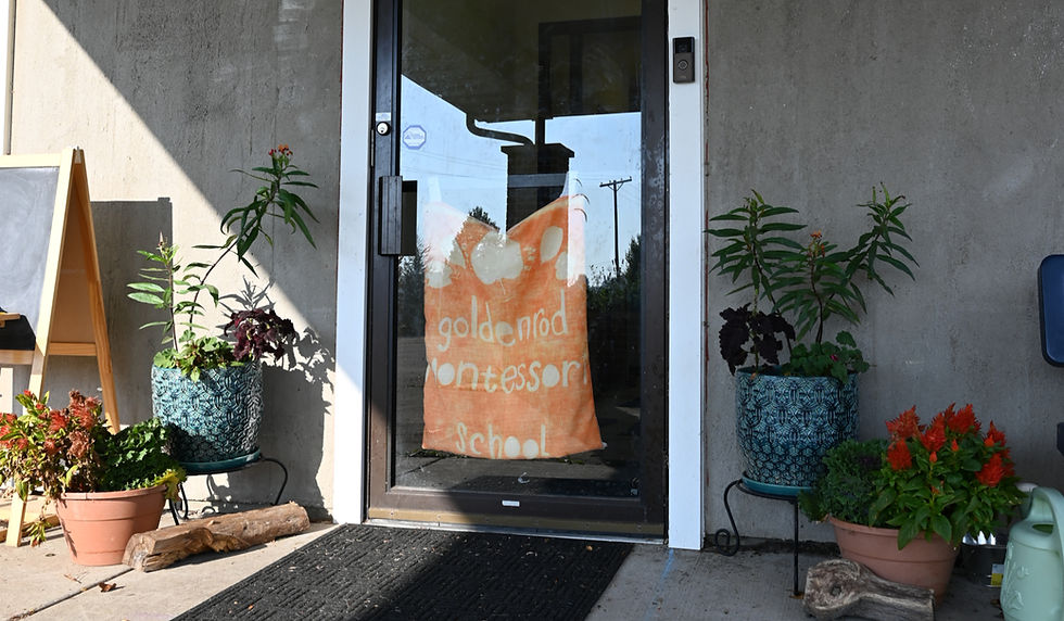 Informational Session: All Program Levels