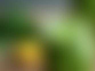 Easy and Tasty Smoothie Recipes for Health