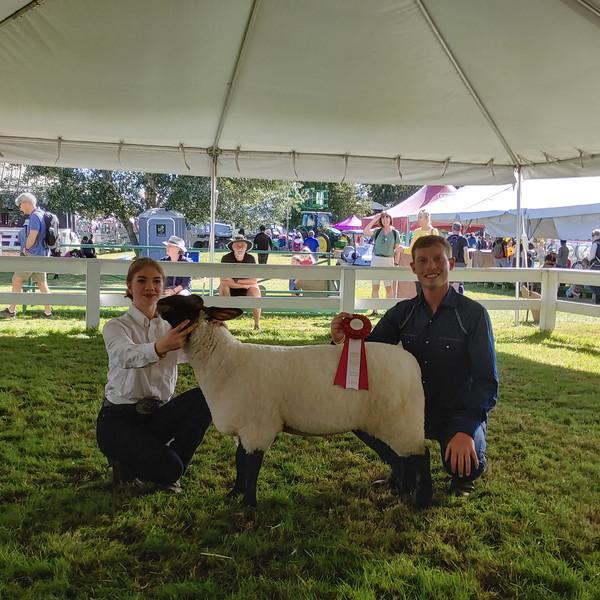 Arbutus Glade Farm sheep for sale Saanichton, BC, Canada