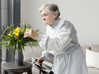 Dieta low carb e o mal de Alzheimer