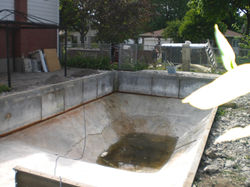 PIscine 17 juin 09 009.jpg