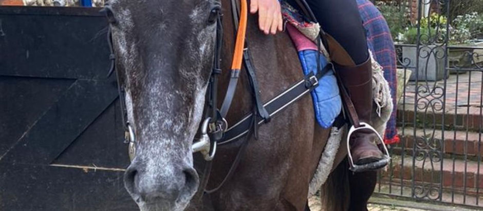 20th April - Stable News