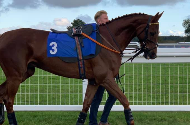 Stable News - Oct 22