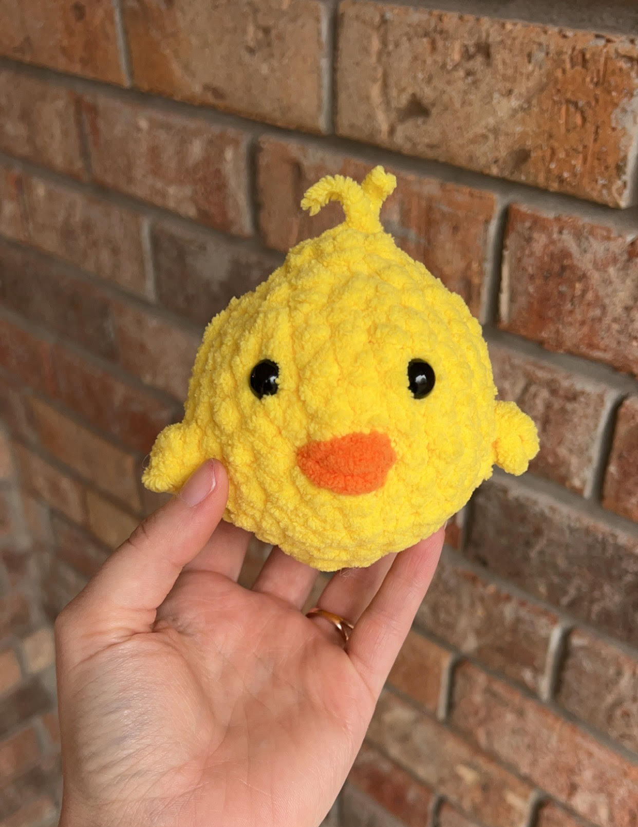 Baby Chick