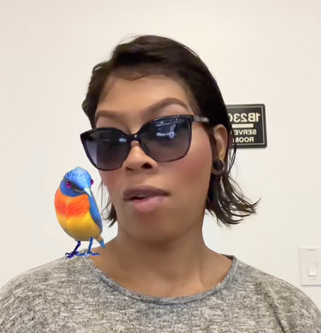 Getting Started in Effects House (AR)