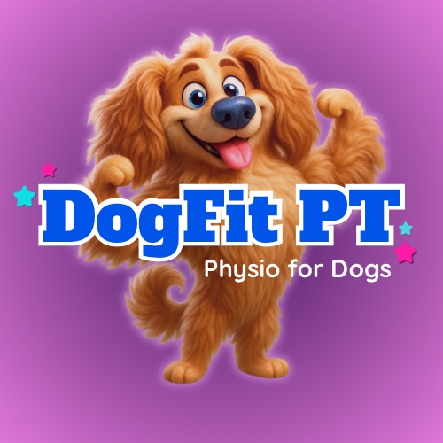 Writer: Dog Fit Physiotherapy