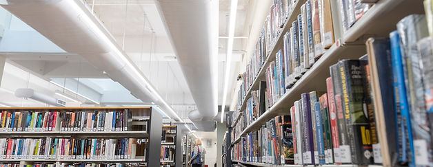 Waverly Library_Labrary-3.jpg