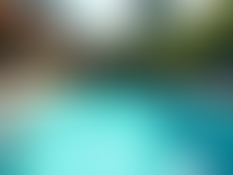 Vinyl Liner Pools vs Fiberglass Pools: Weighing the Pros and Cons