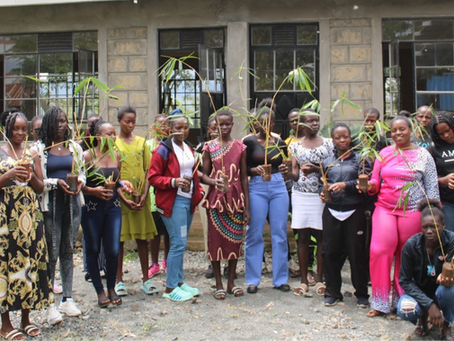 Introducing Bamboo Propagation at the PFP Academy