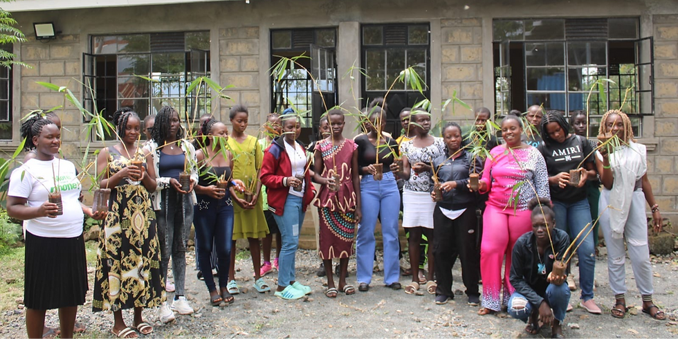 Introducing Bamboo Propagation at the PFP Academy