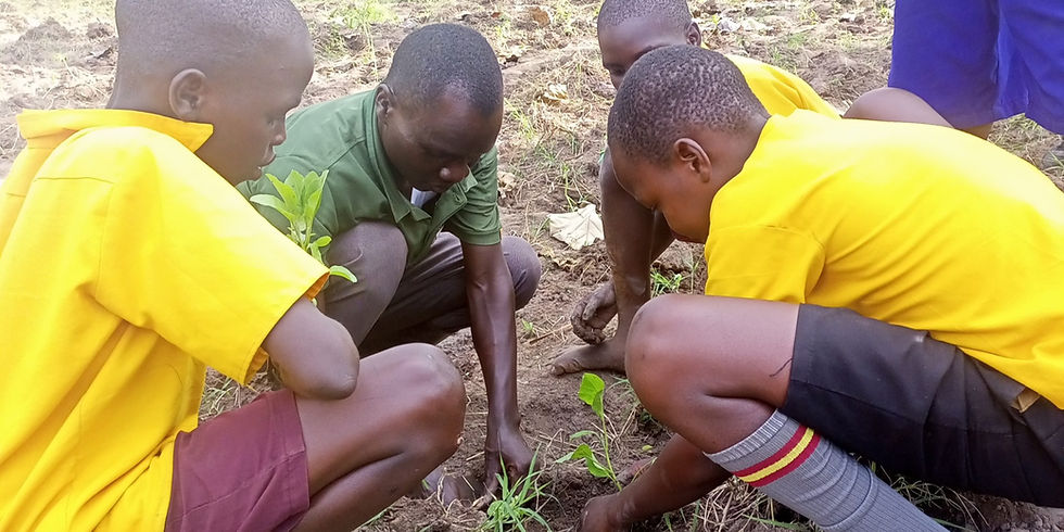 Beyond the Results: Lessons from Paorinher