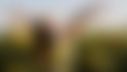 Mein Start in ein glückliches Leben