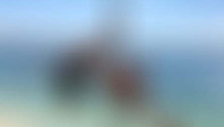 Meine Reise in ein neues Leben ..